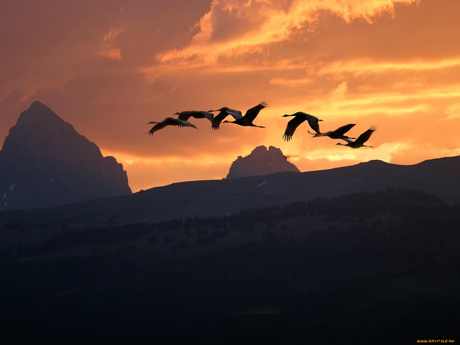 sandhill, sunrise, , 